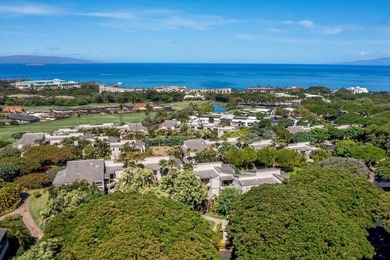 Perfectly positioned in Wailea Ekolu! The incredible ground - photo 4