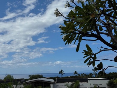 Perfectly positioned in Wailea Ekolu! The incredible ground - photo 7