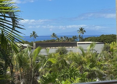 Perfectly positioned in Wailea Ekolu! The incredible ground - photo 8