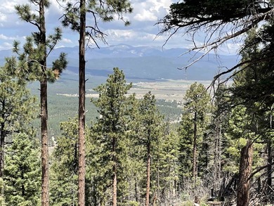 Beautiful 200 degree views of Wheeler Peak Wilderness, north - photo 4