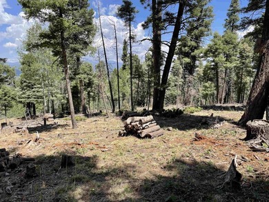 Beautiful 200 degree views of Wheeler Peak Wilderness, north - photo 5
