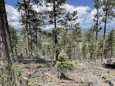 Beautiful 200 degree views of Wheeler Peak Wilderness, north - photo 6