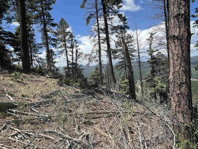 Beautiful 200 degree views of Wheeler Peak Wilderness, north - photo 7