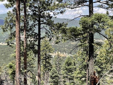 Beautiful 200 degree views of Wheeler Peak Wilderness, north - photo 8