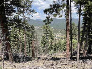 Beautiful 200 degree views of Wheeler Peak Wilderness, north - photo 9