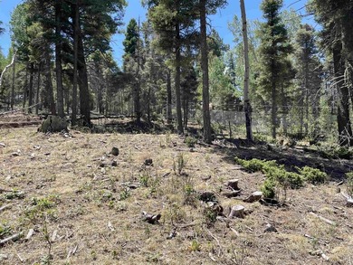 Beautiful 200 degree views of Wheeler Peak Wilderness, north - photo 10