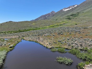 (private lake, pond, creek) Acreage For Sale in Gerlach Nevada