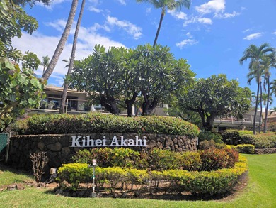 Located in Kihei's Gold Coast right across the street from - photo 1