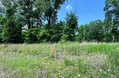 Lake Lot For Sale in Unincorporated, Missouri