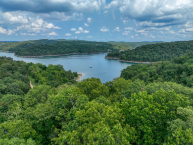 15+ Lake Front Acres with a Cabin and Private Dock! - photo 26
