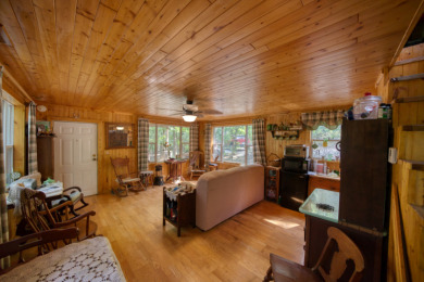 15+ Lake Front Acres with a Cabin and Private Dock! - photo 19