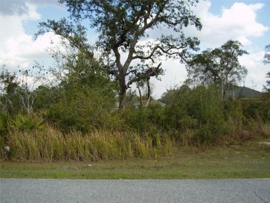 Lake Marion - Polk County Lot For Sale in Kissimmee Florida