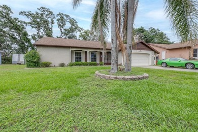 Weeki Wachee Lake Home For Sale in Spring Hill Florida