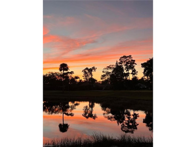 (private lake, pond, coastal) Home For Sale in Naples Florida