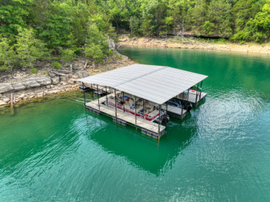 15+ Lake Front Acres with a Cabin and Private Dock! - photo 6