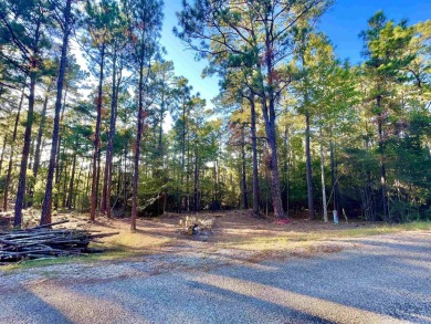 Lake Lot For Sale in Brookeland, Texas