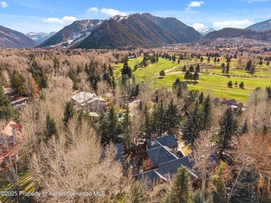 Discover the perfect West Aspen retreat-an ideal home base with - photo 28