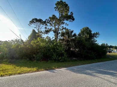 Northport Waterway Lakes and Canals Lot For Sale in North Port Florida