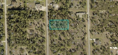 Lehigh Acres Area Lot For Sale in Lehigh Acres Florida