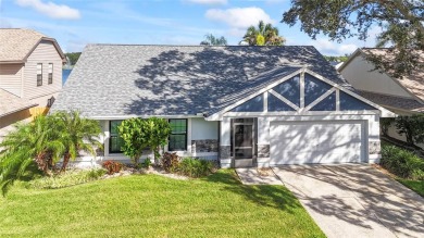 Lake Home Sale Pending in Brandon, Florida