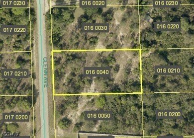 Lehigh Acres Area Lot For Sale in Lehigh Acres Florida