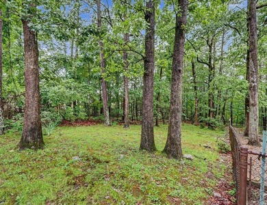 Beautifully updated 3-bedroom, 2-bath home in Hot Springs - photo 42