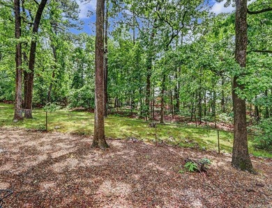 Beautifully updated 3-bedroom, 2-bath home in Hot Springs - photo 43