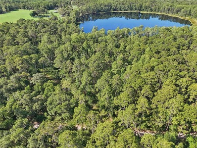 (private lake, pond, creek) Acreage Sale Pending in Groveland Florida