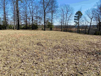 20.52 Acres with Stunning Ridge-Top Views Near White River & - photo 2