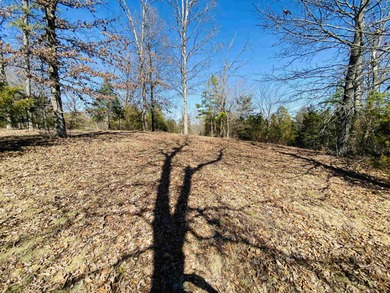 20.52 Acres with Stunning Ridge-Top Views Near White River & - photo 3