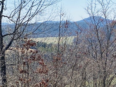 20.52 Acres with Stunning Ridge-Top Views Near White River & - photo 4