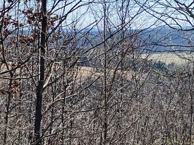 20.52 Acres with Stunning Ridge-Top Views Near White River & - photo 5