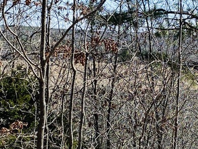 20.52 Acres with Stunning Ridge-Top Views Near White River & - photo 6