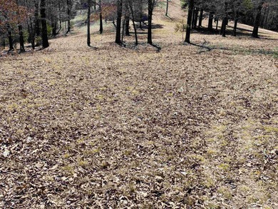 20.52 Acres with Stunning Ridge-Top Views Near White River & - photo 7