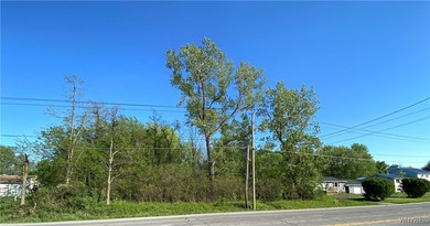 Lake Erie Commercial For Sale in Brant New York