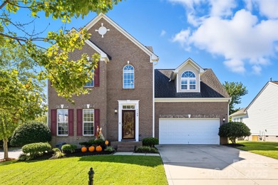 Lake Wylie Home For Sale in Belmont North Carolina