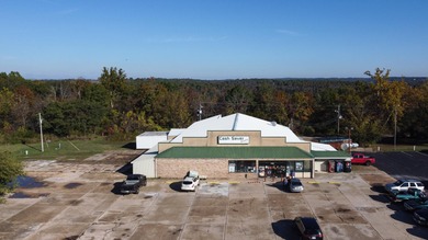 Bull Shoals Lake Commercial For Sale in Theodosia Missouri