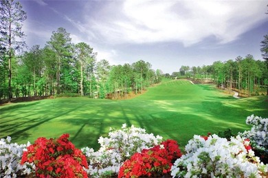 RANCH ON BASEMENT - Located in the prestigious and highly - photo 36