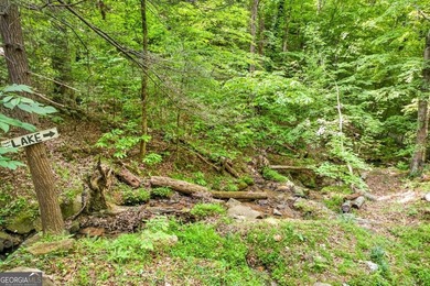 Fully furnished true log home on 5.78 private wooded acres in - photo 44