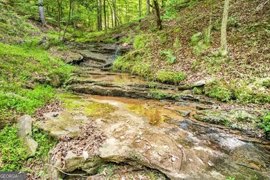 Fully furnished true log home on 5.78 private wooded acres in - photo 49