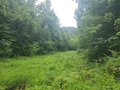 Lake Acreage For Sale in Sevierville, Tennessee