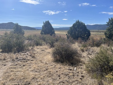 Lake Lot For Sale in Sprague River, Oregon
