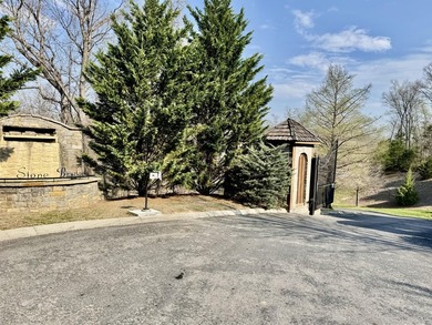 Are you are looking for the perfect lot to build your dream - photo 11