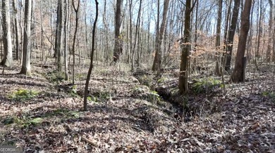 1.23.26 UPDATE: The 30' Ingress/Egress & Utility easement has - photo 14