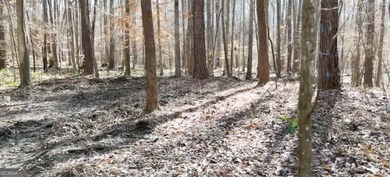 1.23.26 UPDATE: The 30' Ingress/Egress & Utility easement has - photo 16