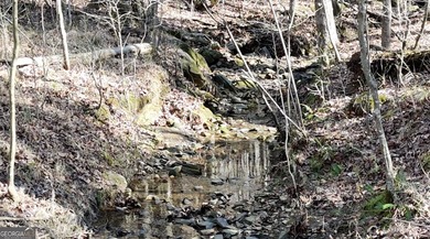1.23.26 UPDATE: The 30' Ingress/Egress & Utility easement has - photo 17