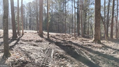 1.23.26 UPDATE: The 30' Ingress/Egress & Utility easement has - photo 18