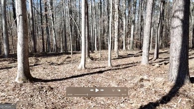 1.23.26 UPDATE: The 30' Ingress/Egress & Utility easement has - photo 21
