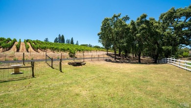 Experience the timeless beauty of Sonoma County at this idyllic - photo 33