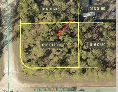Lehigh Acres Area Lot For Sale in Lehigh Acres Florida